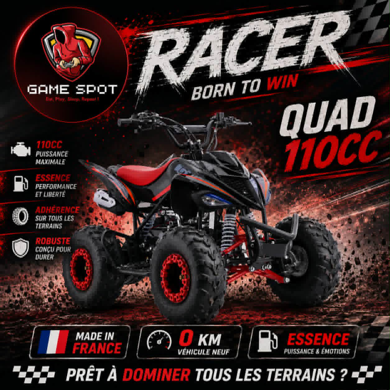 QUAD 110cc