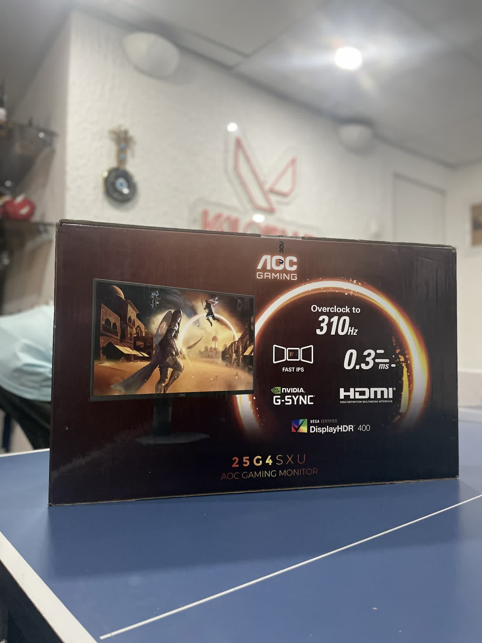 AOC GAMING 300HTZ
